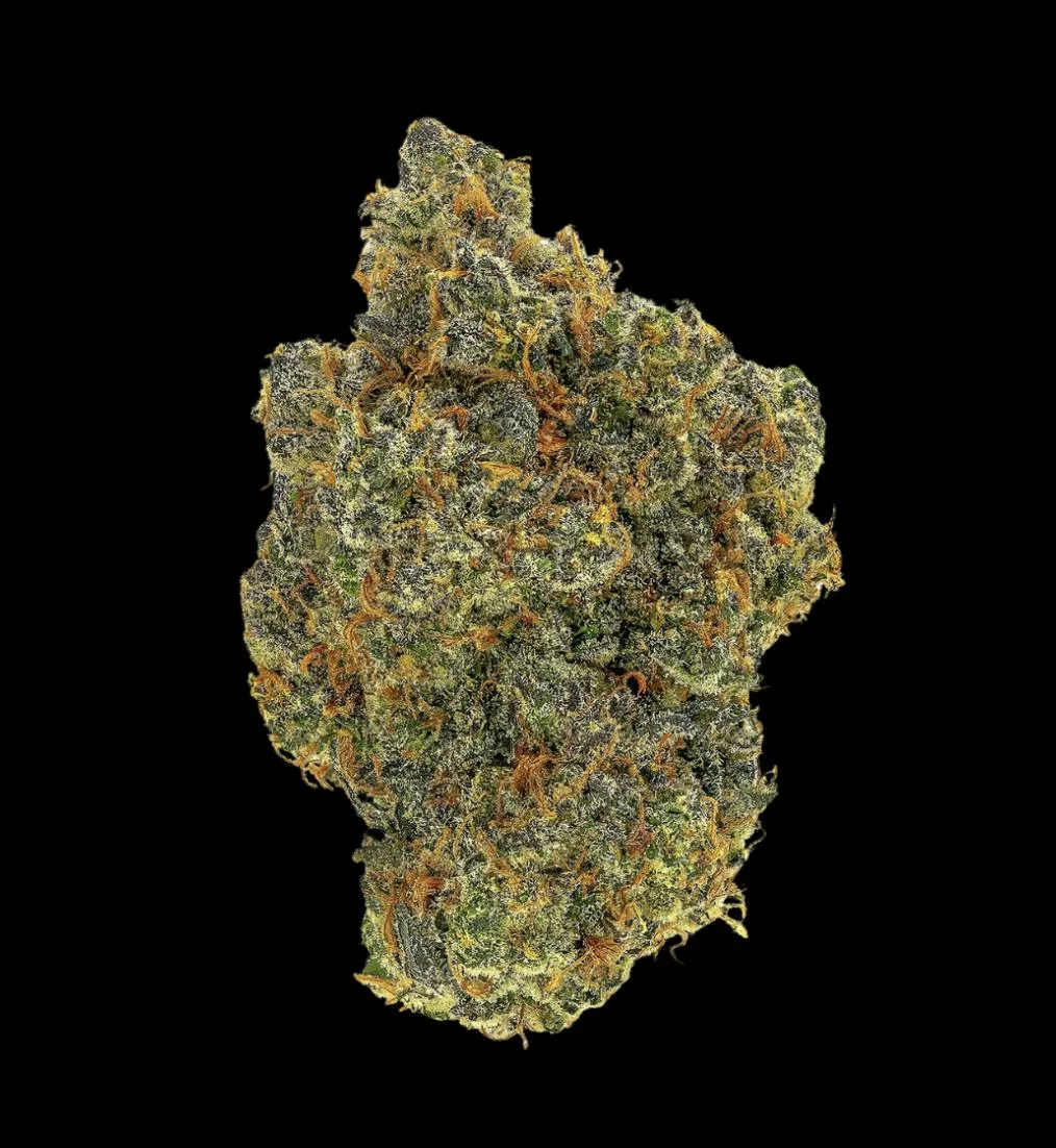HGN | Panic Switch | Flower | 14G