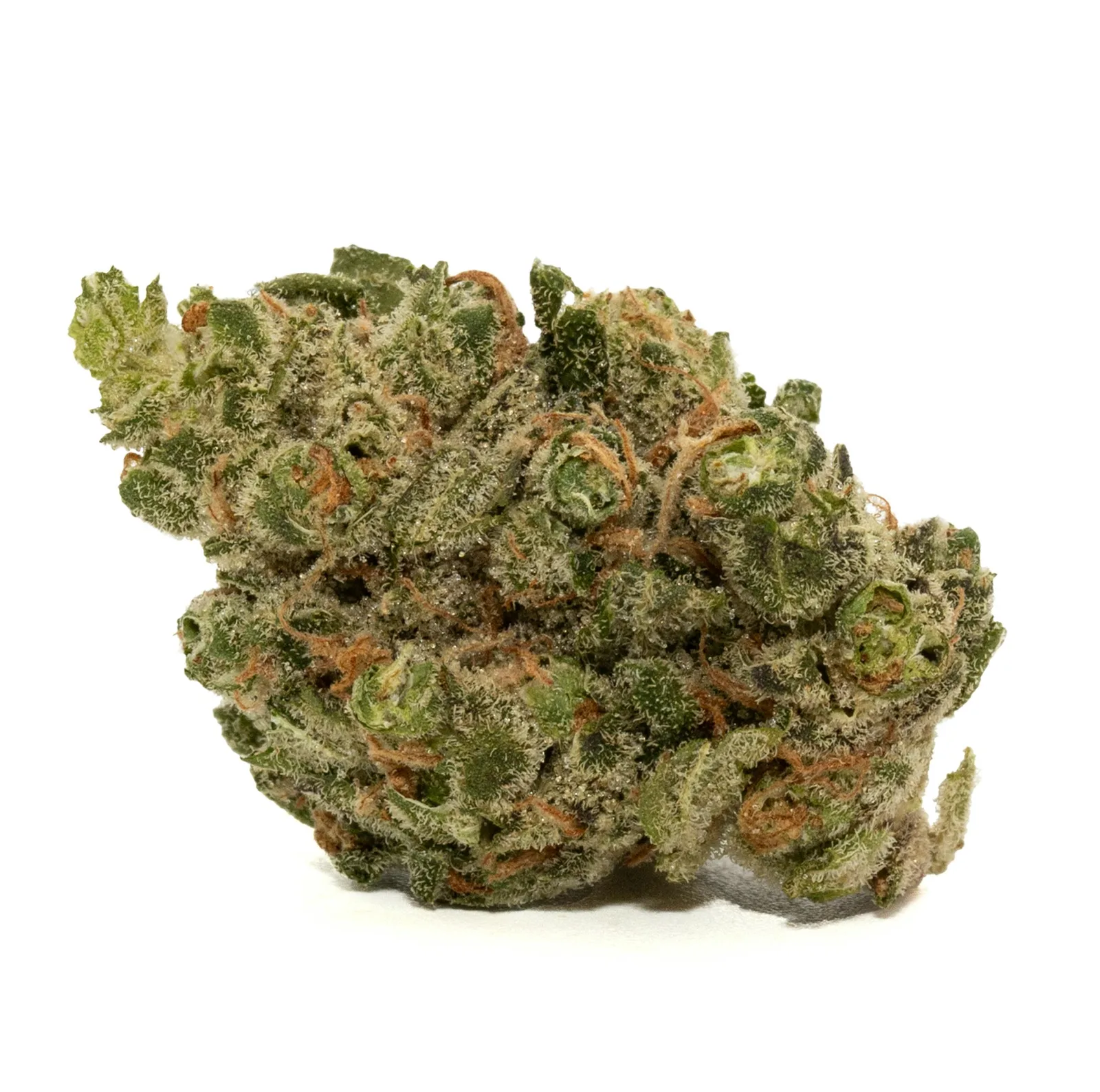 BIOFUEL [14G]