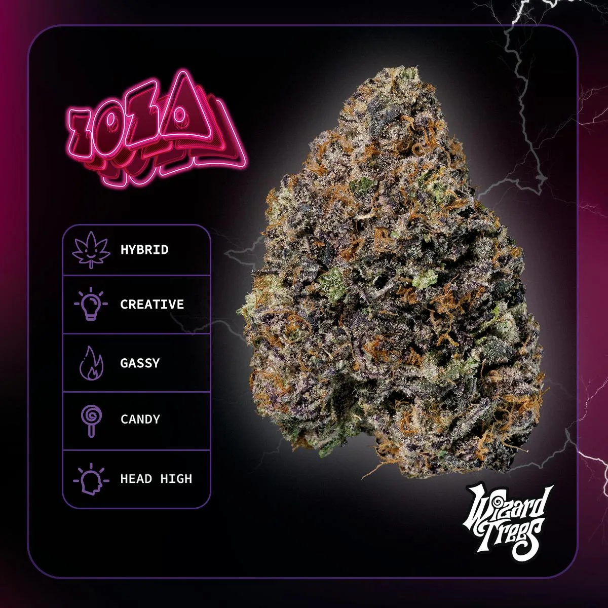 Wizard Trees | 3.5g Flower - Zoza