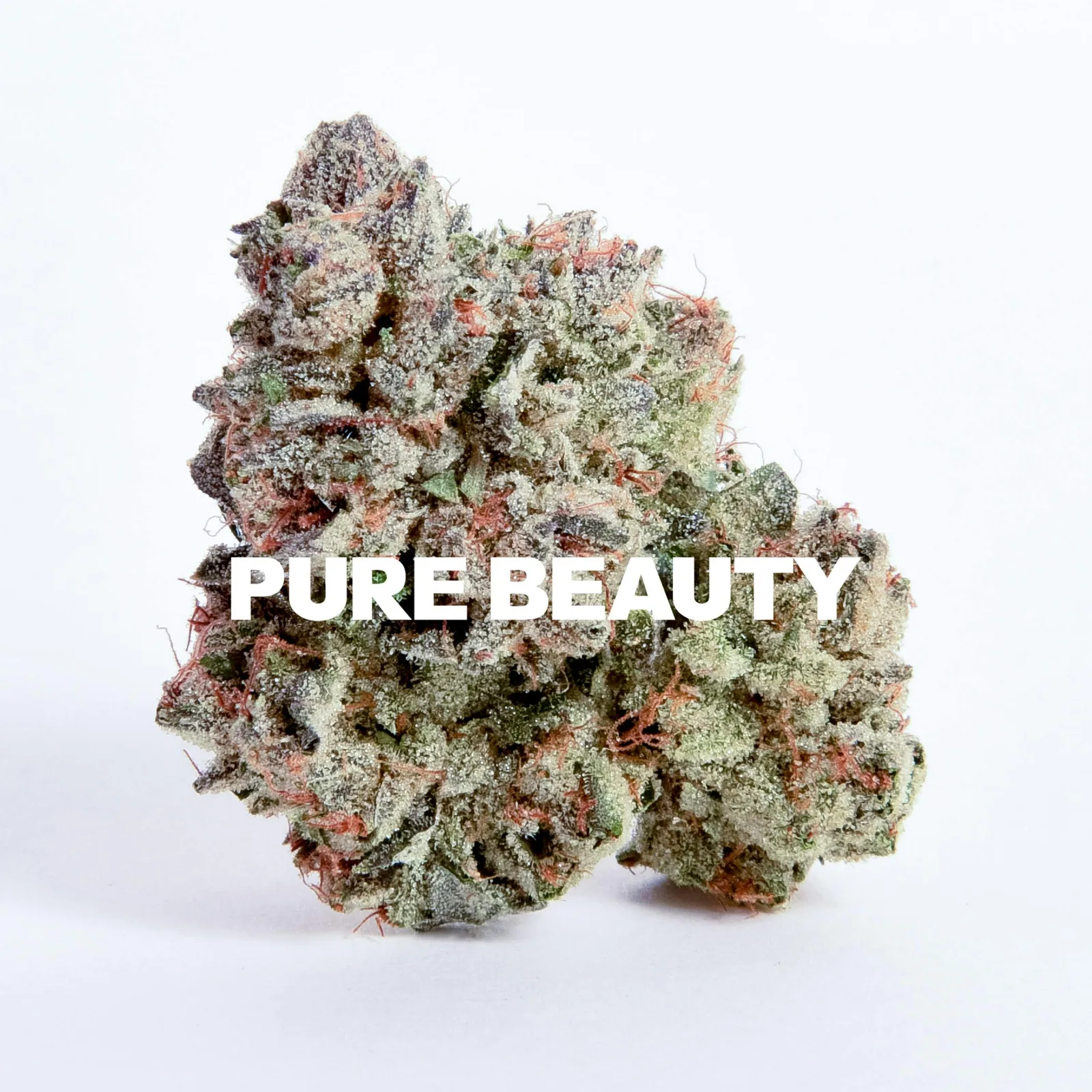 New Jack City #2 | 3.5g Indoor