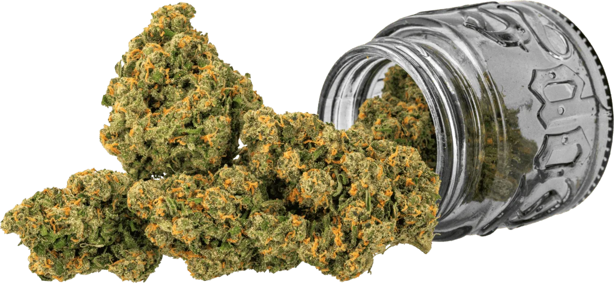 Jack | 3.5g