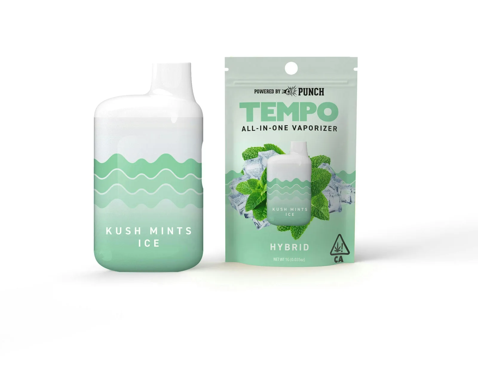 Tempo | Kush Mints Ice | AIO Disposable | 1g