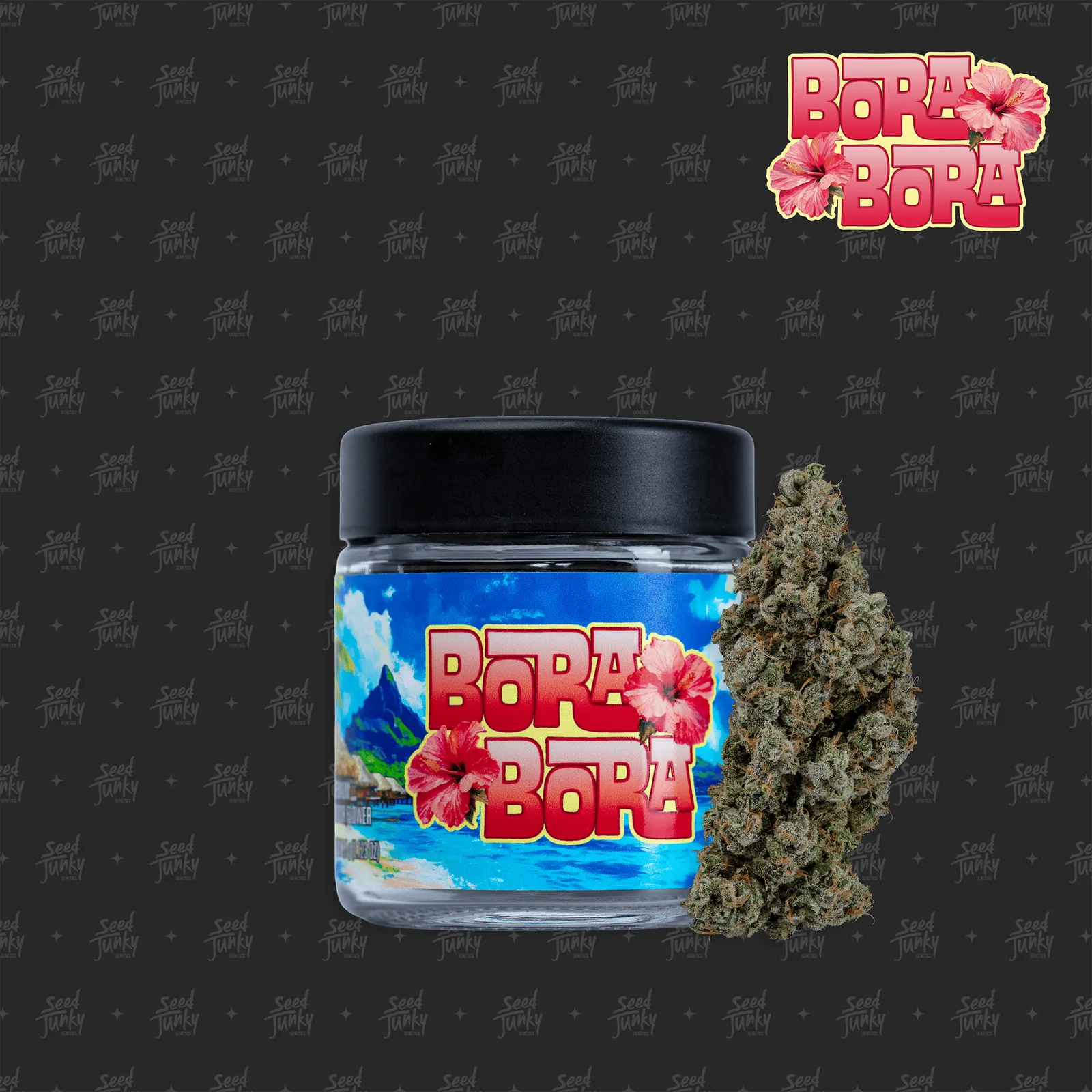 Seed Junky | Bora Bora | Big Buds | 3.5g