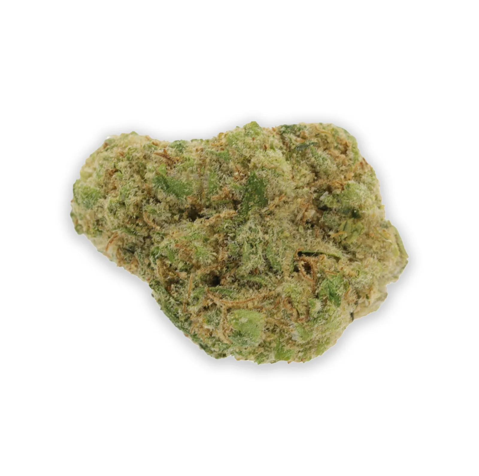 DAYSTRIPPER [3.5G]