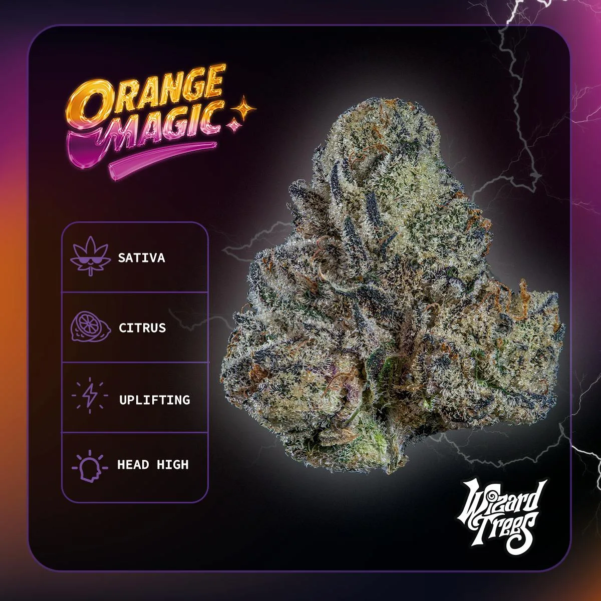 Wizard Trees | 3.5g Flower - Orange Magic