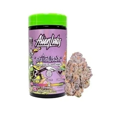 BrainWash Indoor - 10g