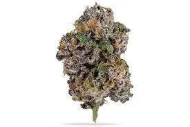 Super Good | Blue Guava