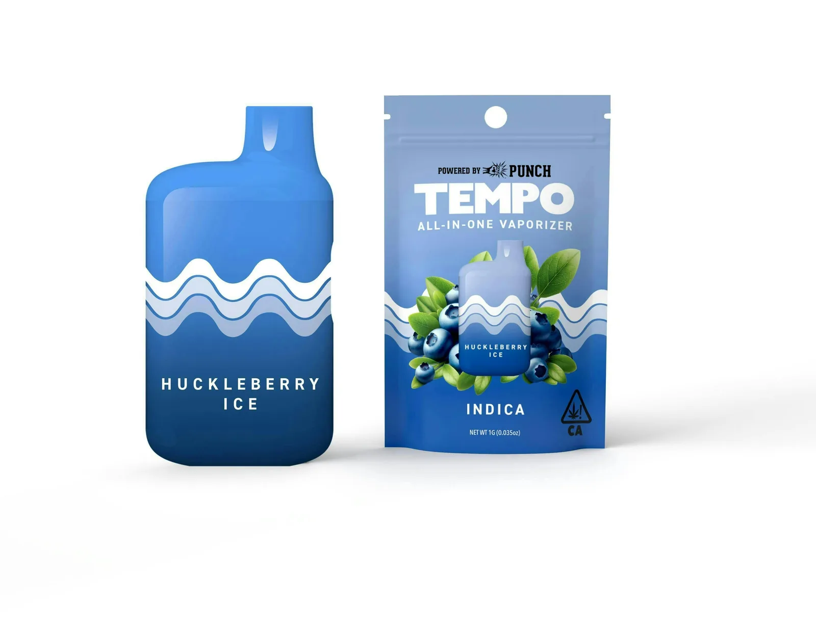 Tempo | Huckleberry Ice | AIO Disposable | 1g