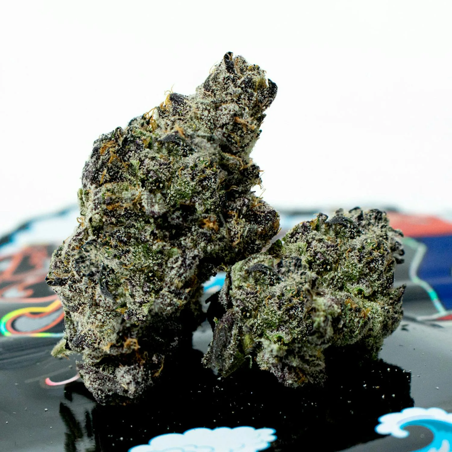 Black Fish