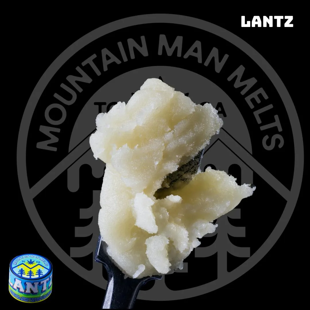 Lantz - Live Rosin