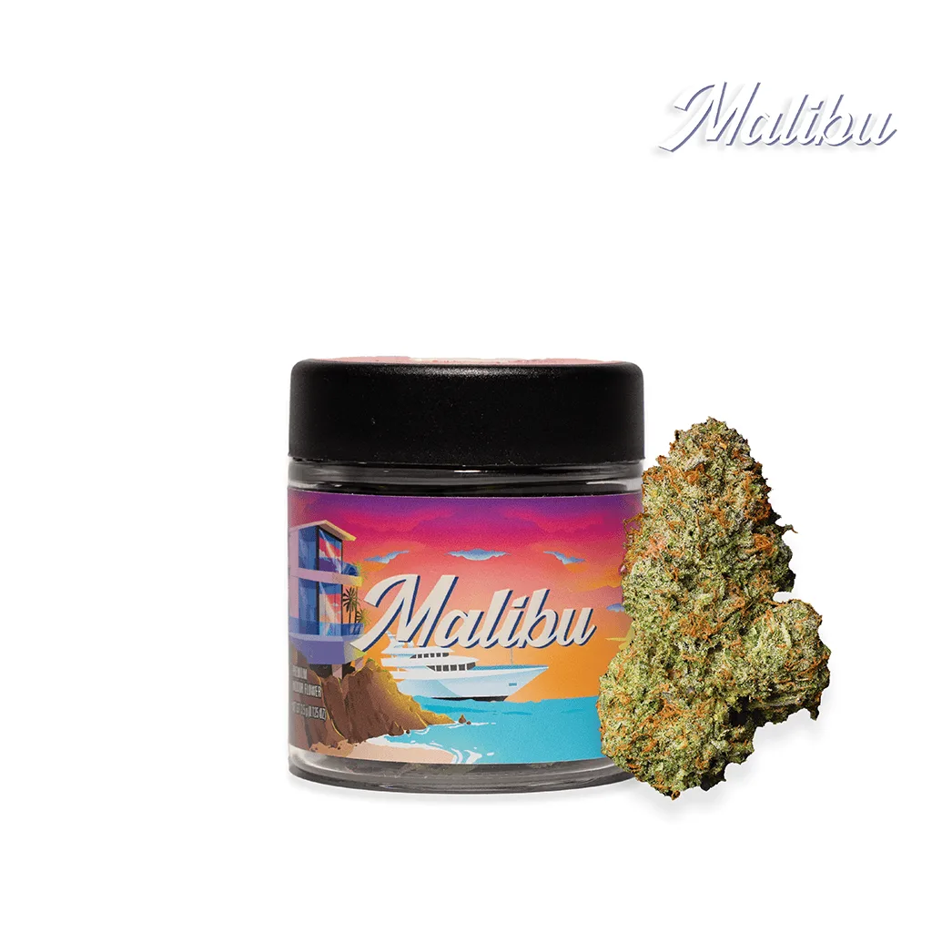 Seed Junky | Malibu Jar | Big Buds | 3.5g