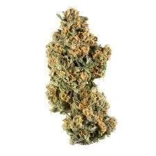 Green | Mystic Mint