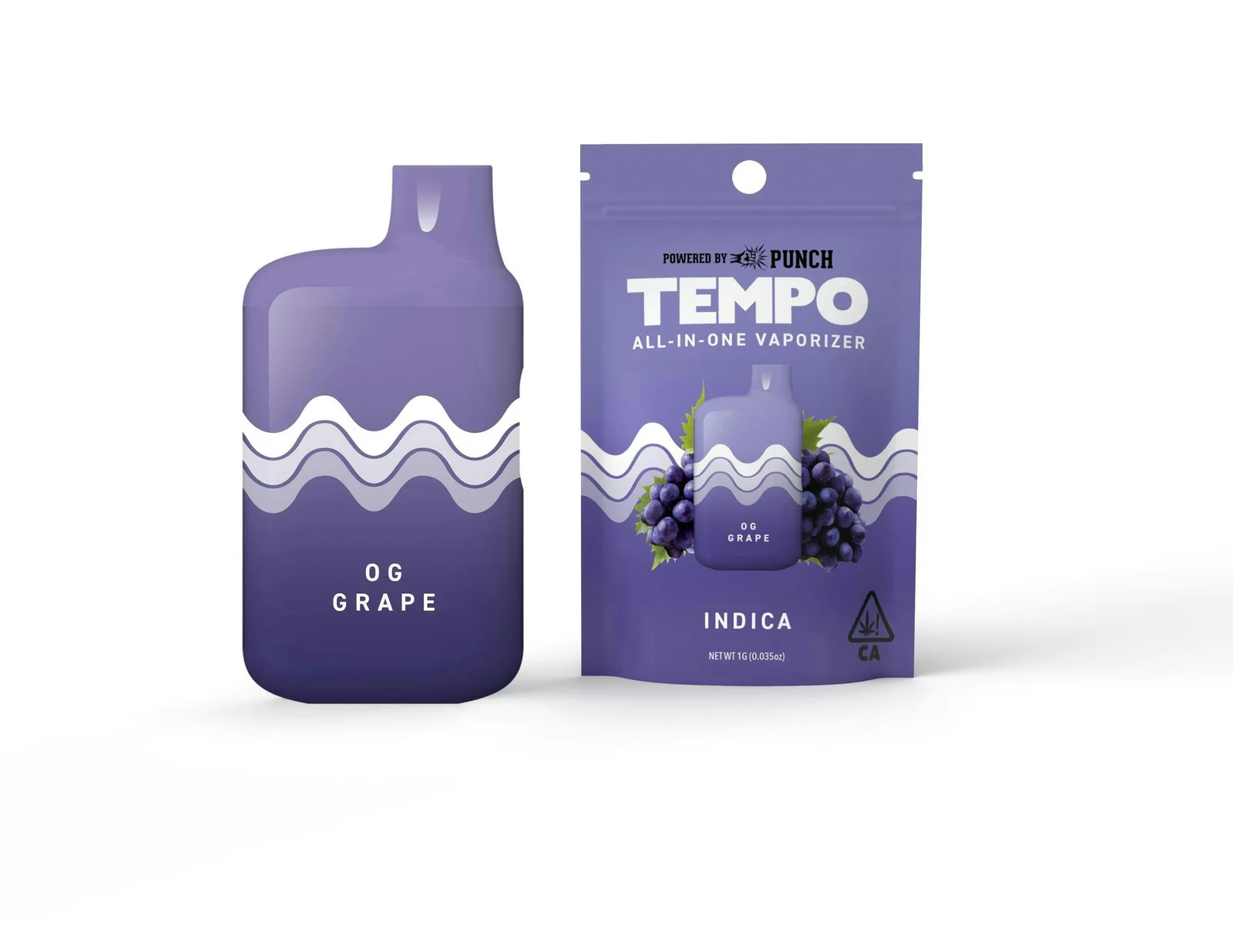 Tempo | OG Grape | AIO Disposable | 1g