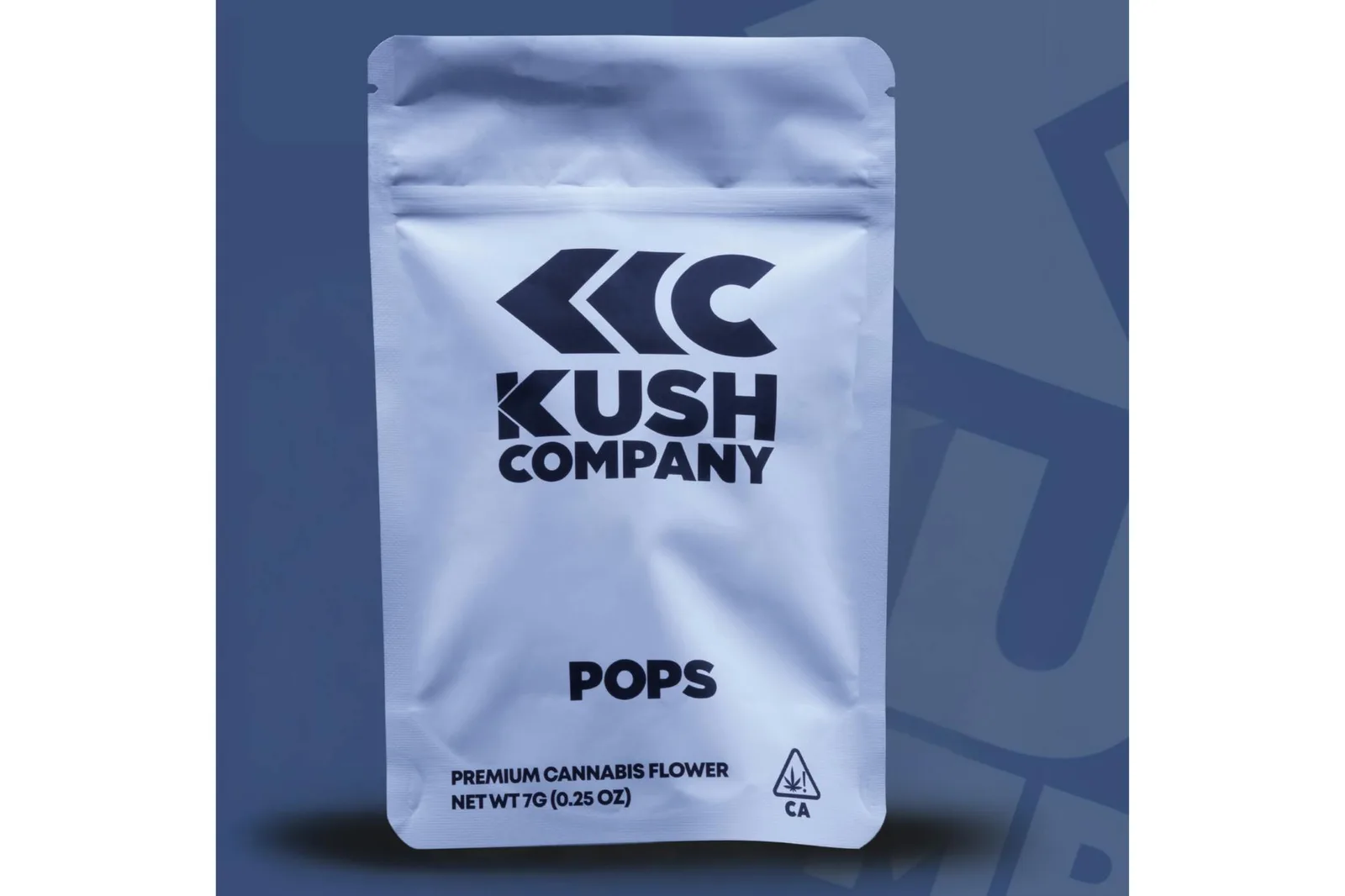 Iceberg Slim - Pops