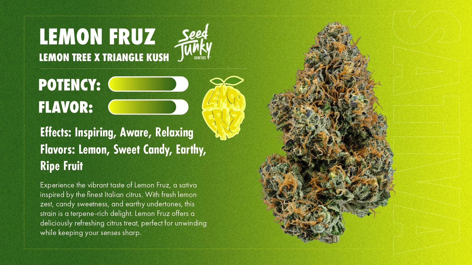 Seed Junky | Lemon Fruz | Big Buds