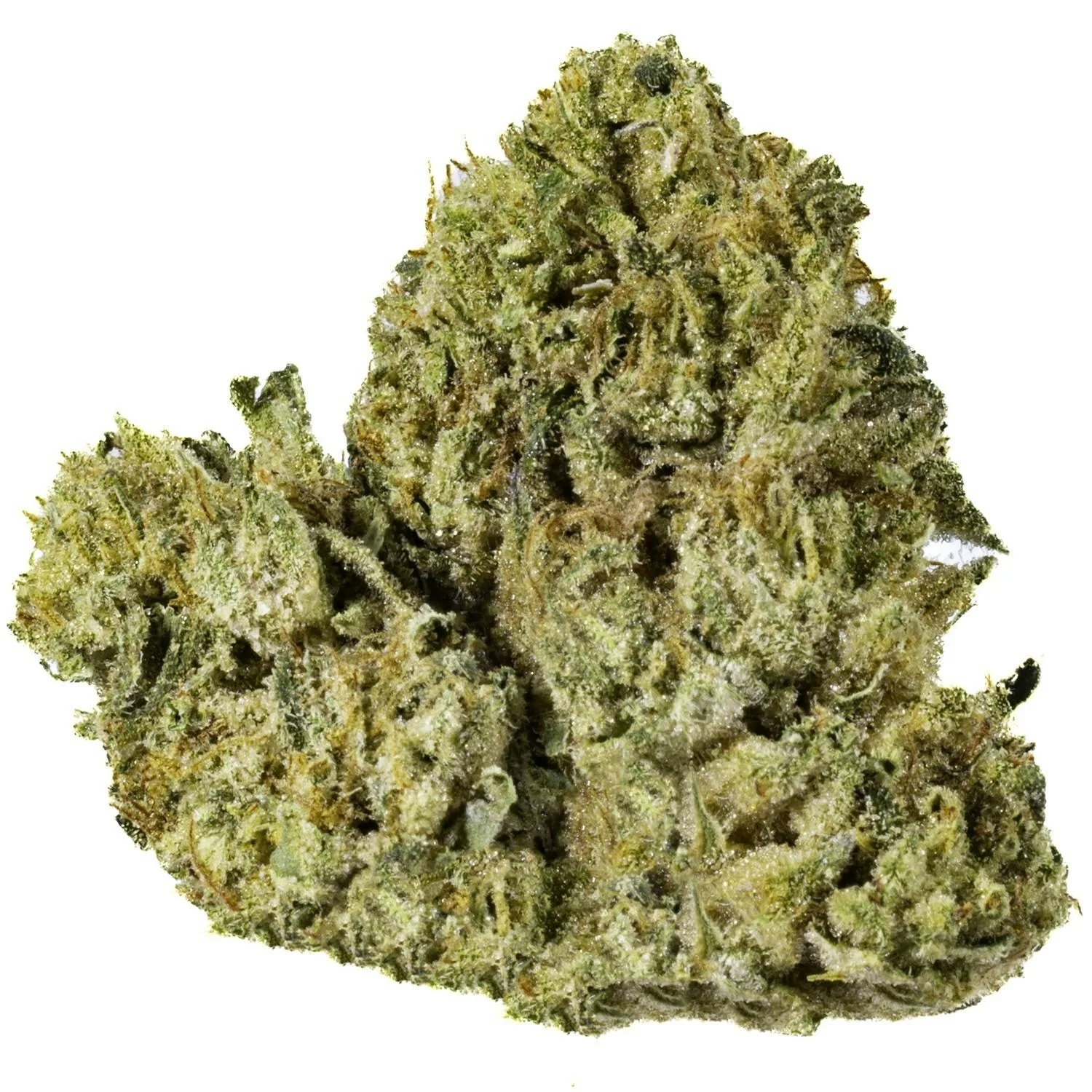 Creme Brulee - 3.5G Premium Flower