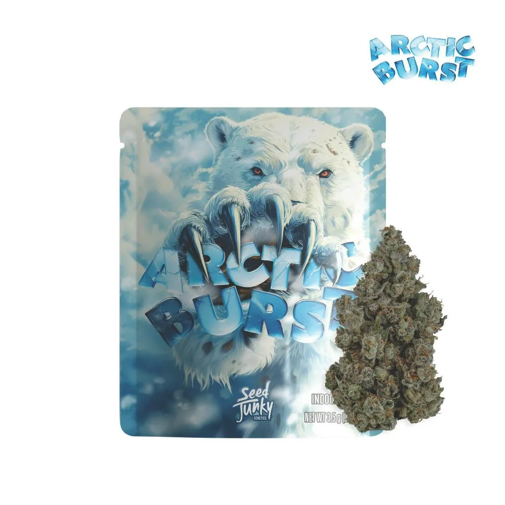 Seed Junky | Arctic Burst | Big Buds | 3.5g