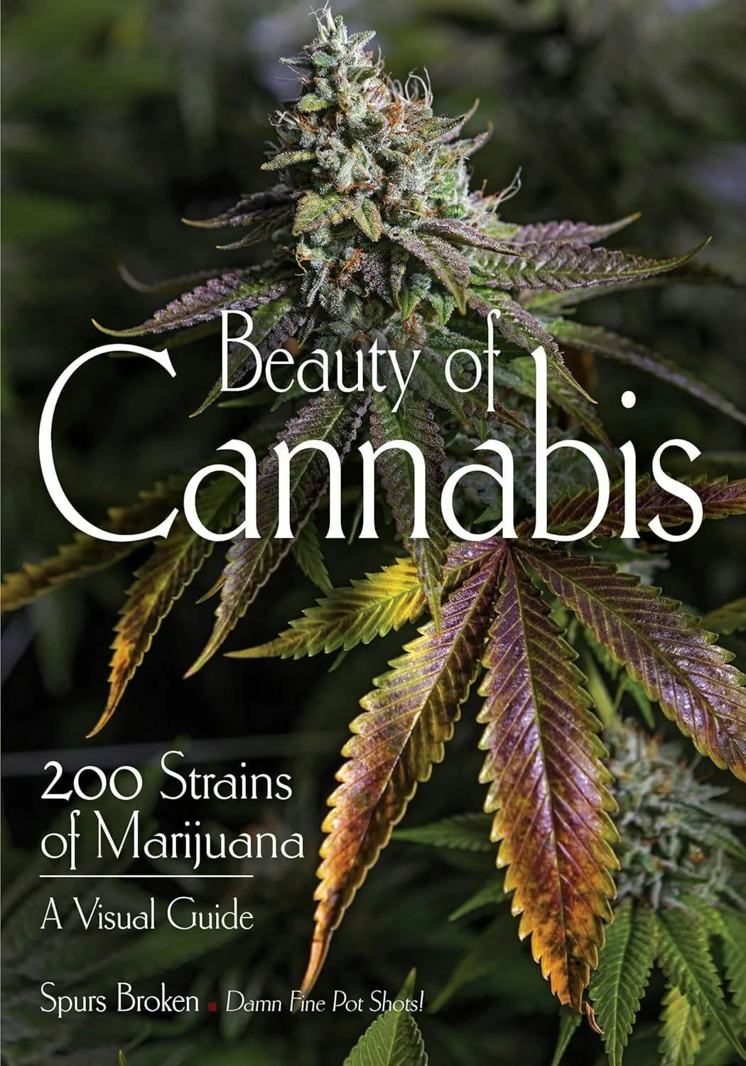 BEAUTY OF CANNABIS: A VISUAL GUIDE
