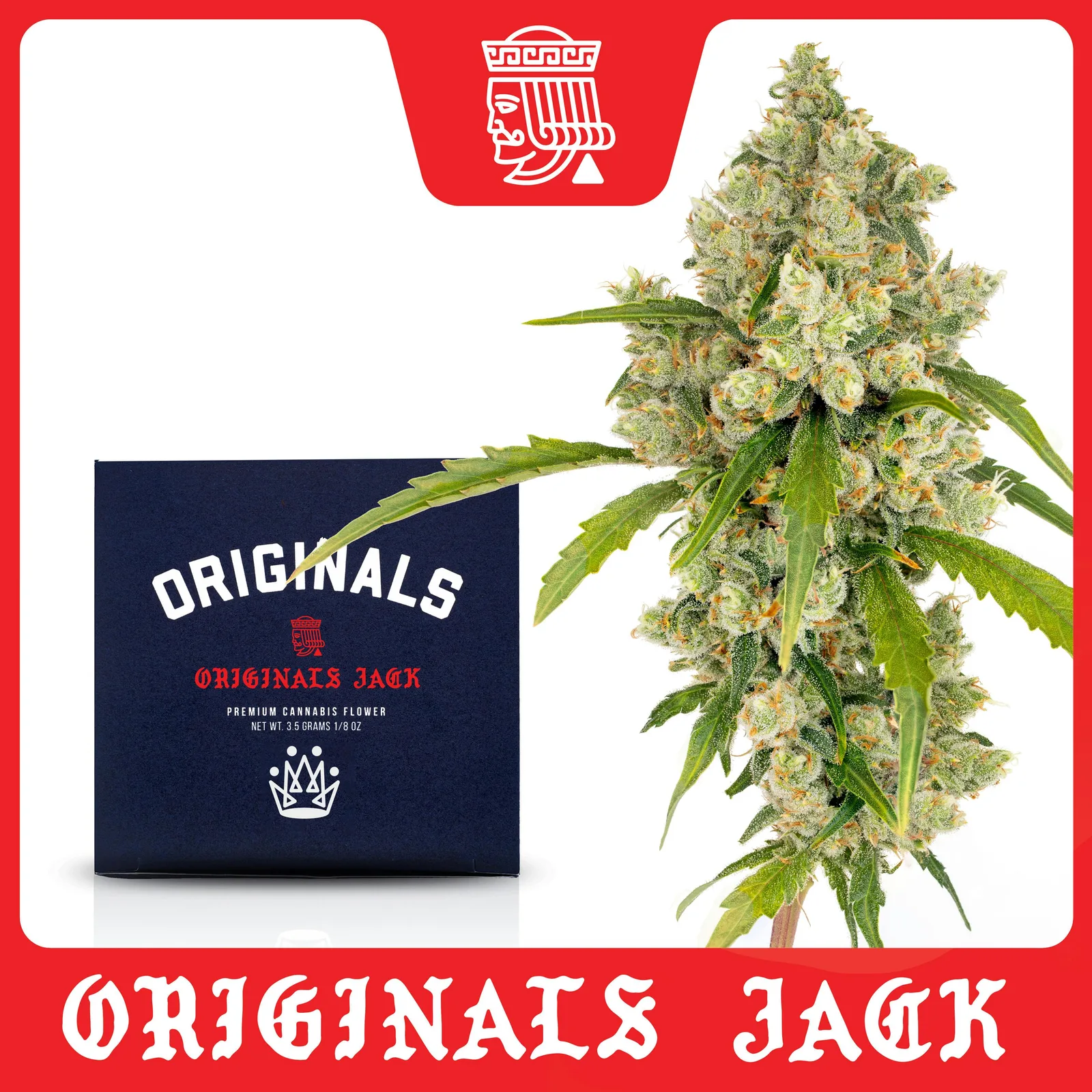 Originals | Jack Herer - 3.5g Flower
