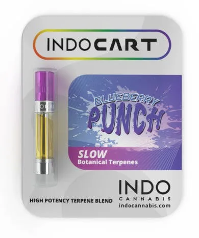 IndoCART - Blueberry Punch (1G)