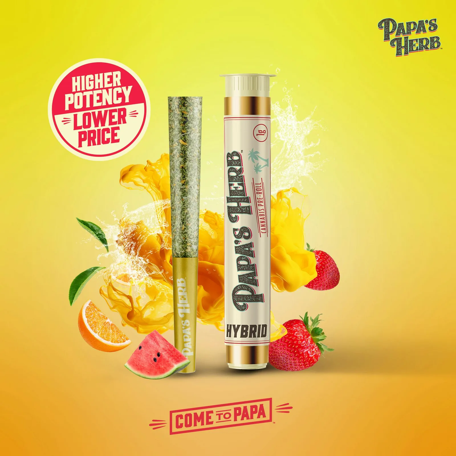 Sundae Driver 1G Preroll