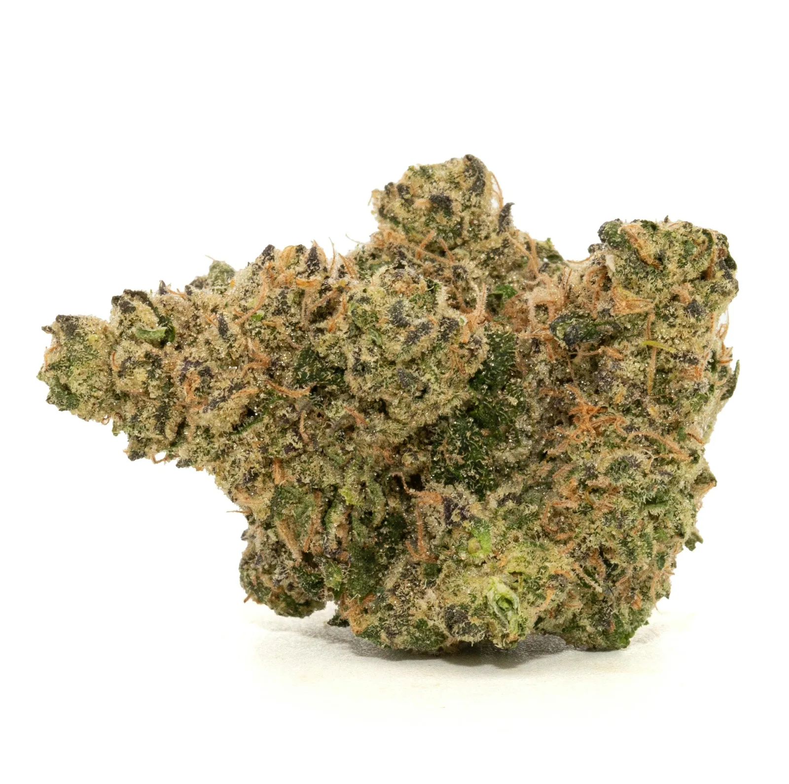 SPRITZER [3.5G]