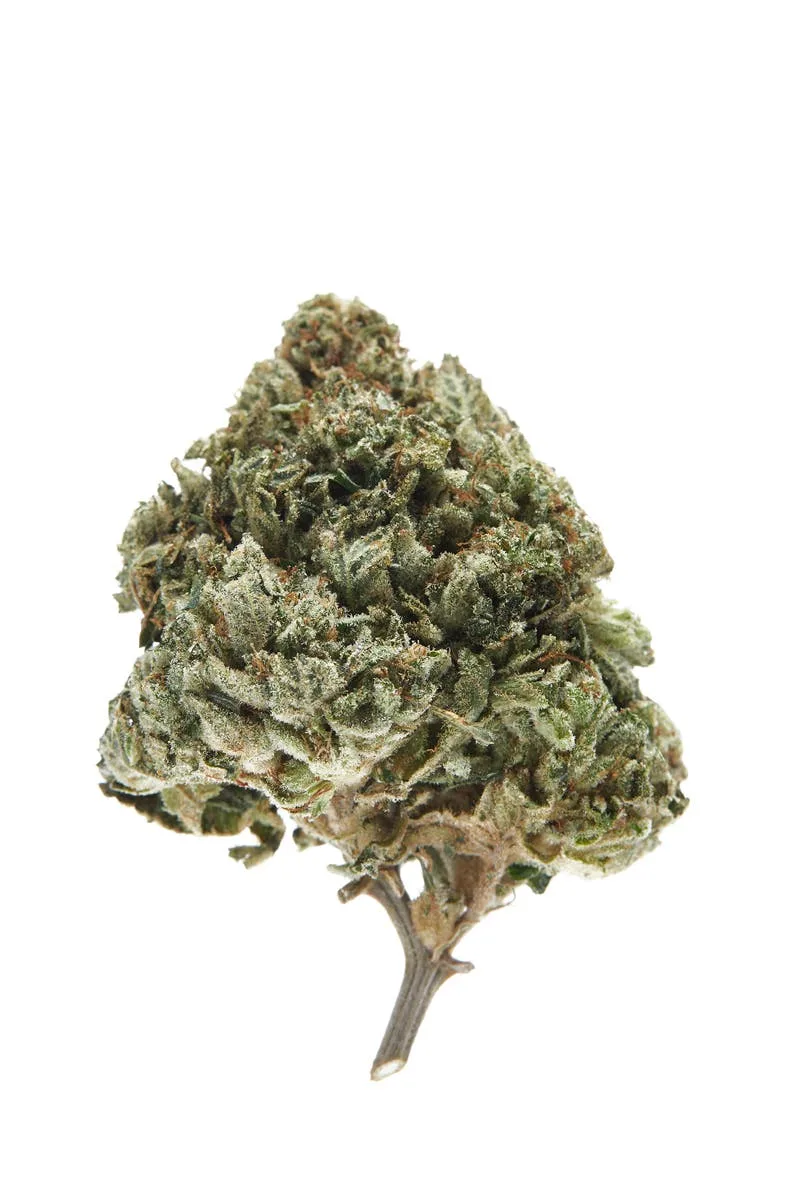 CITRON BOMB - PREPACK 7G