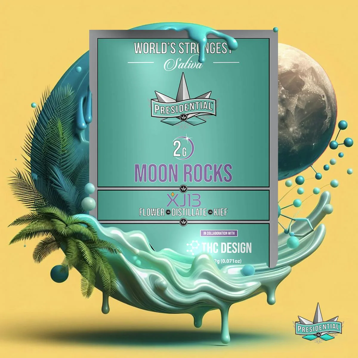 Presidential Moon Rocks - XJ-13 (2g)