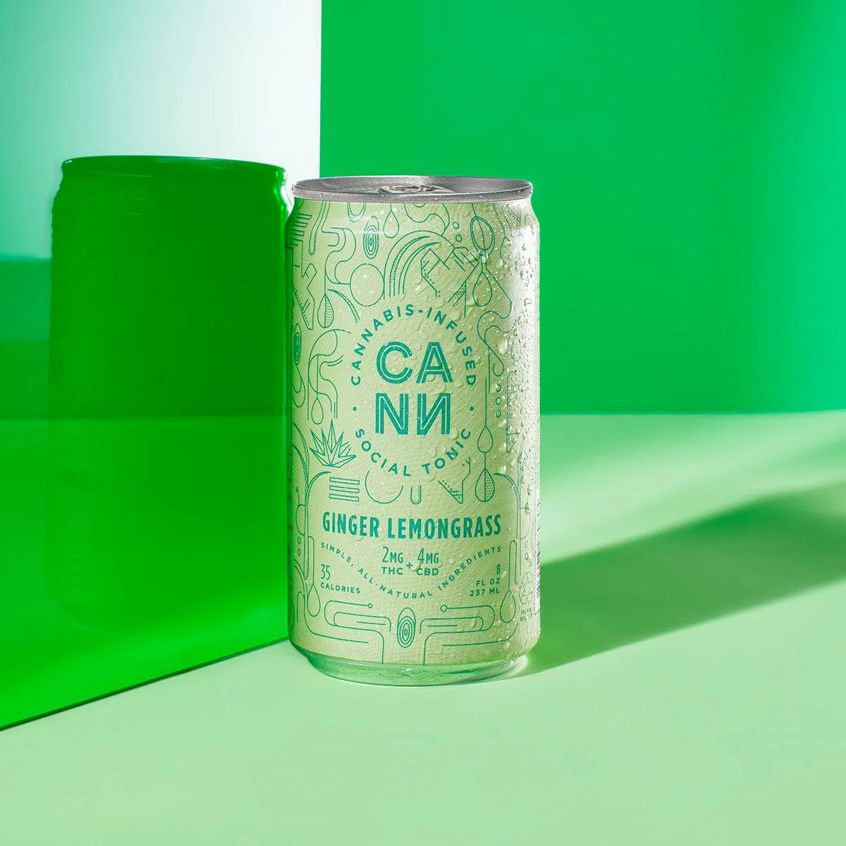 Ginger Lemongrass Social Tonic (6pk)