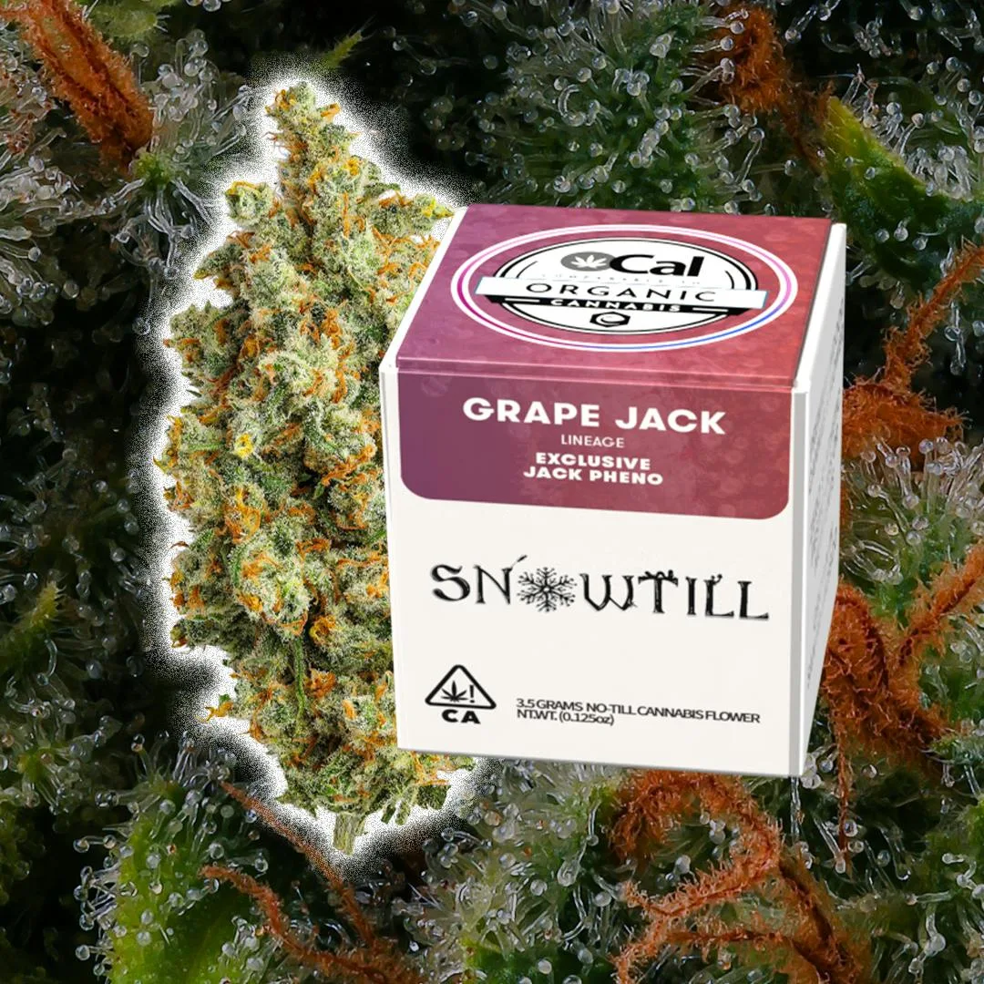 Grape Jack (S/H)