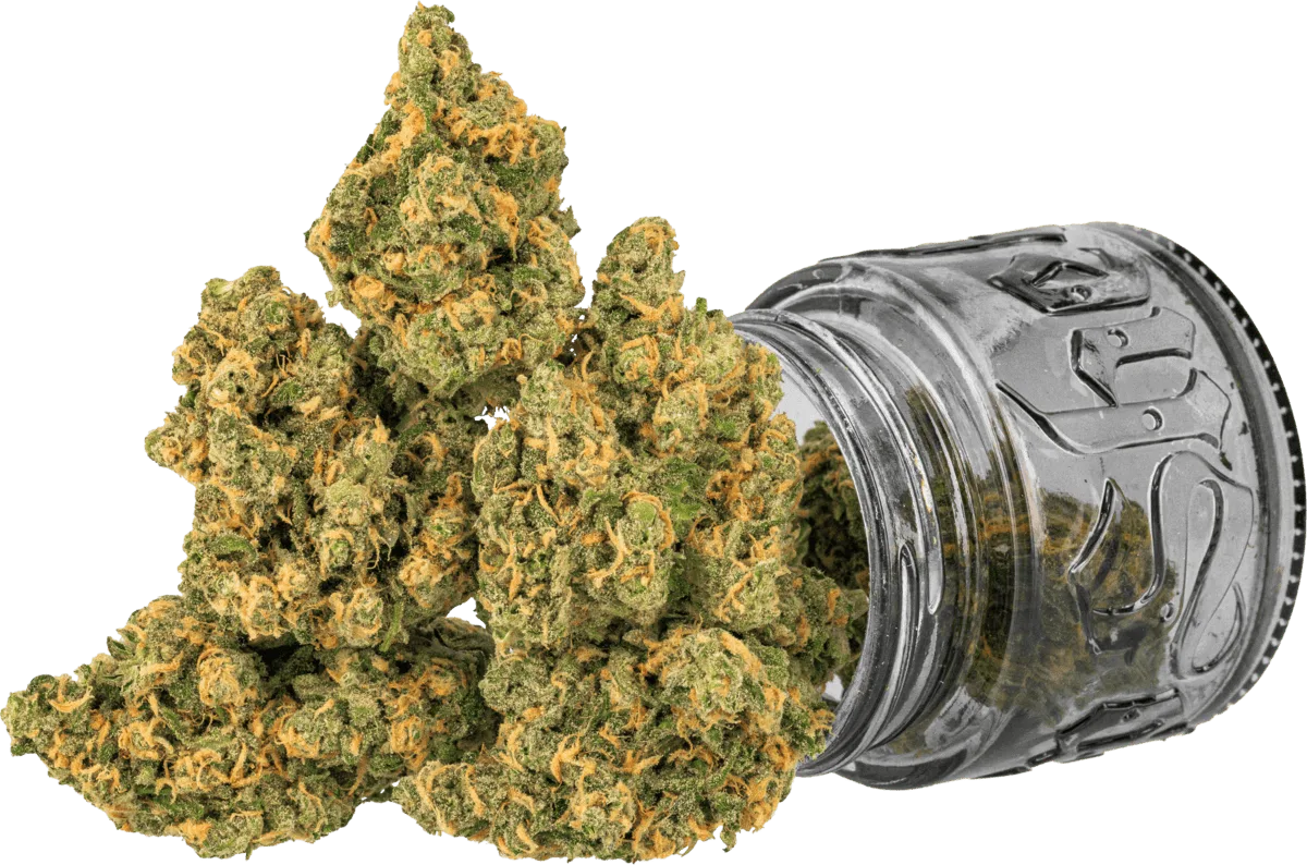 Blue Dream | 3.5g