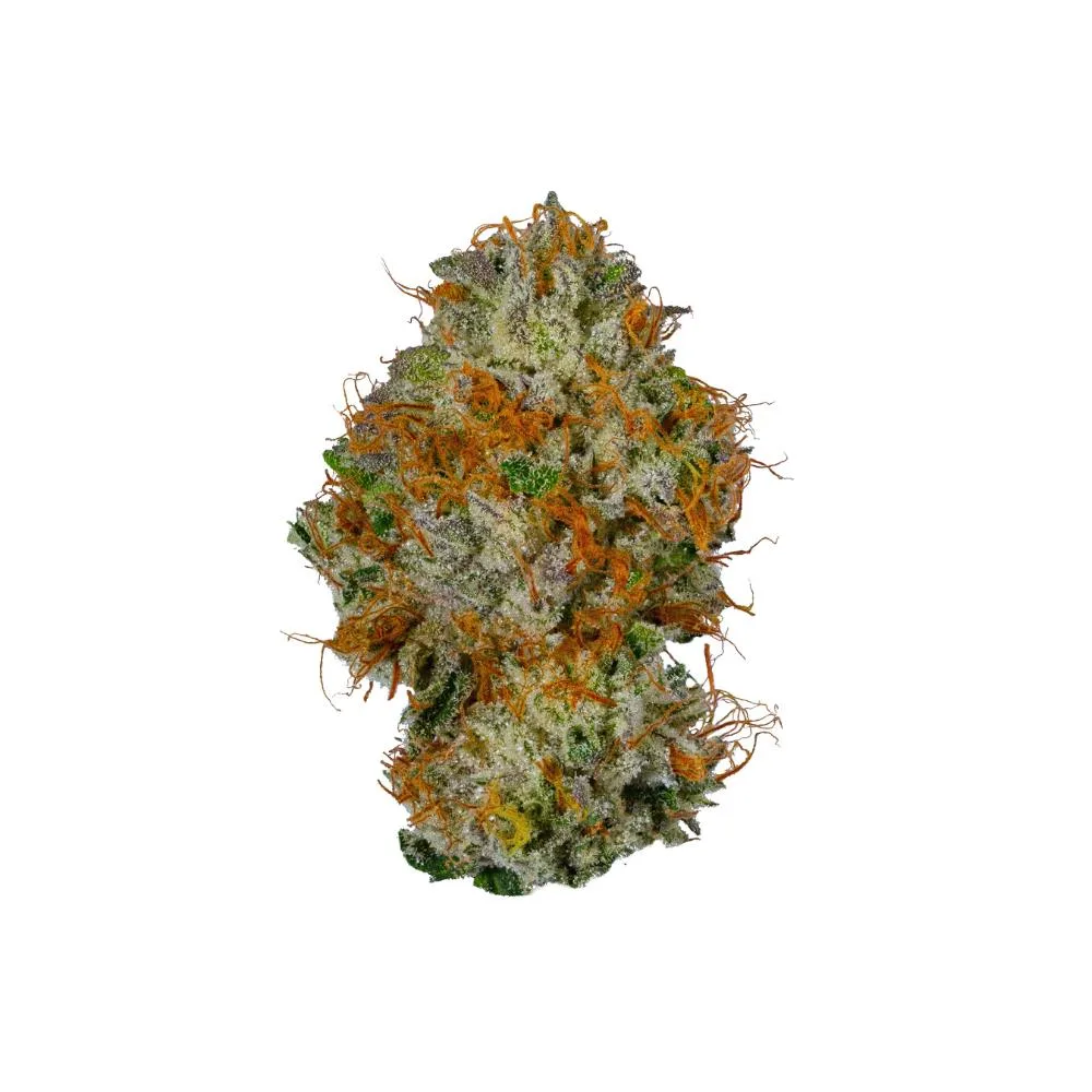 Glitch | Indoor Flower - 3.5g