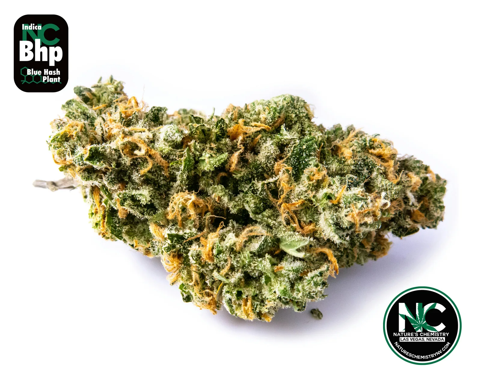 Blue Hash Plant