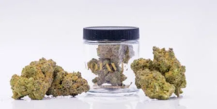 MOJAVE - 1991 OG NUGGETZ