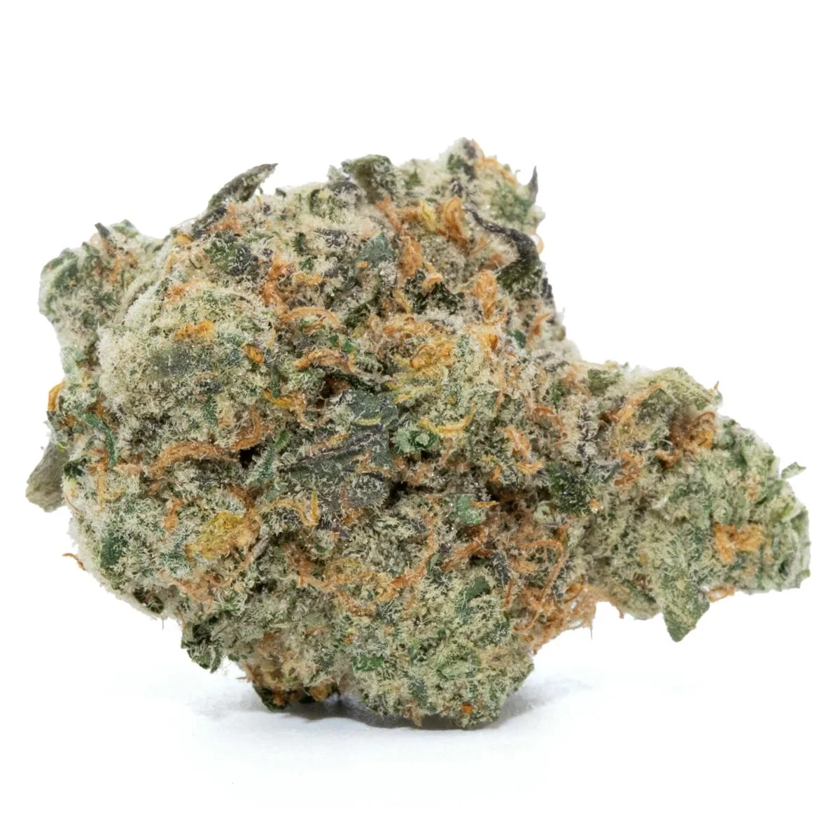 PADLOCK [3.5G]