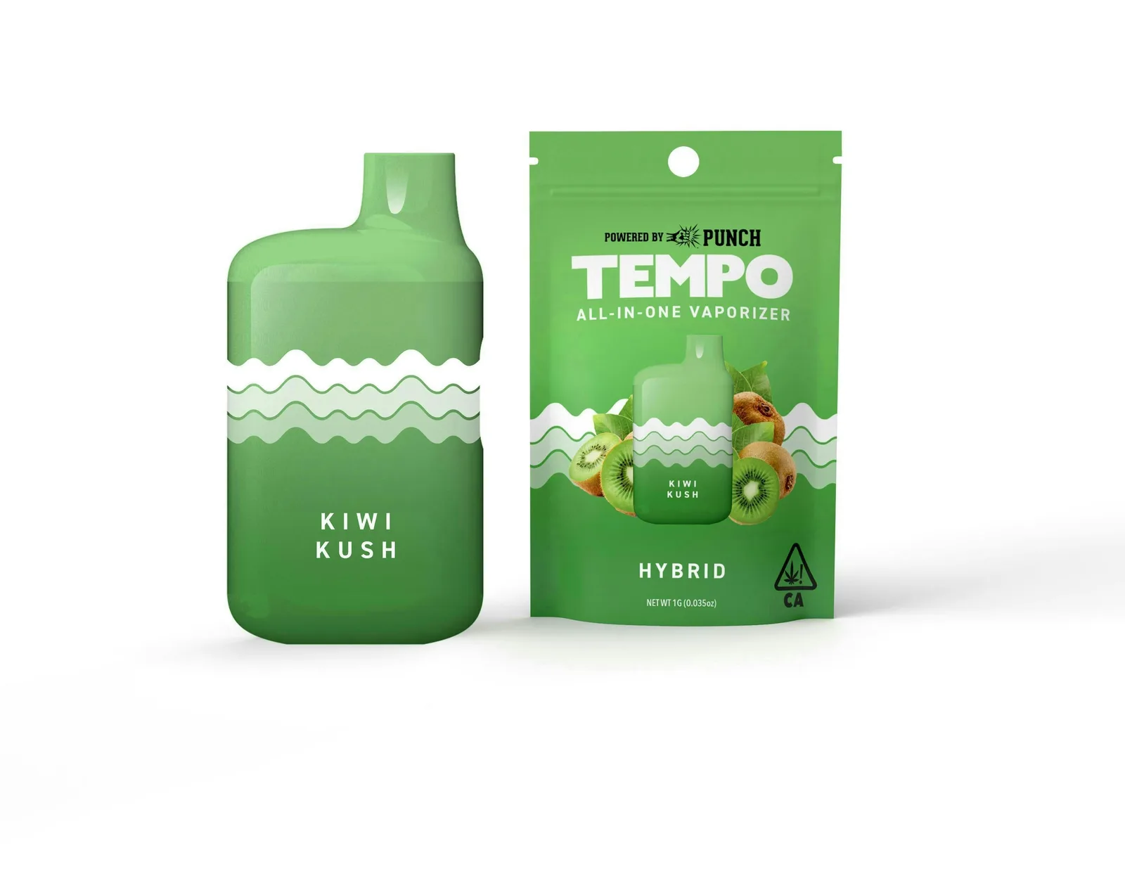 Tempo | Kiwi Kush | AIO Disposable | 1g