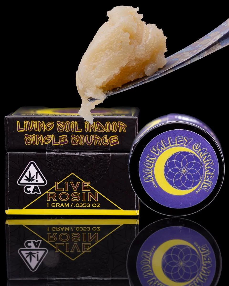 Neon Panther Cold Cure Live Rosin 1 Gram Jar