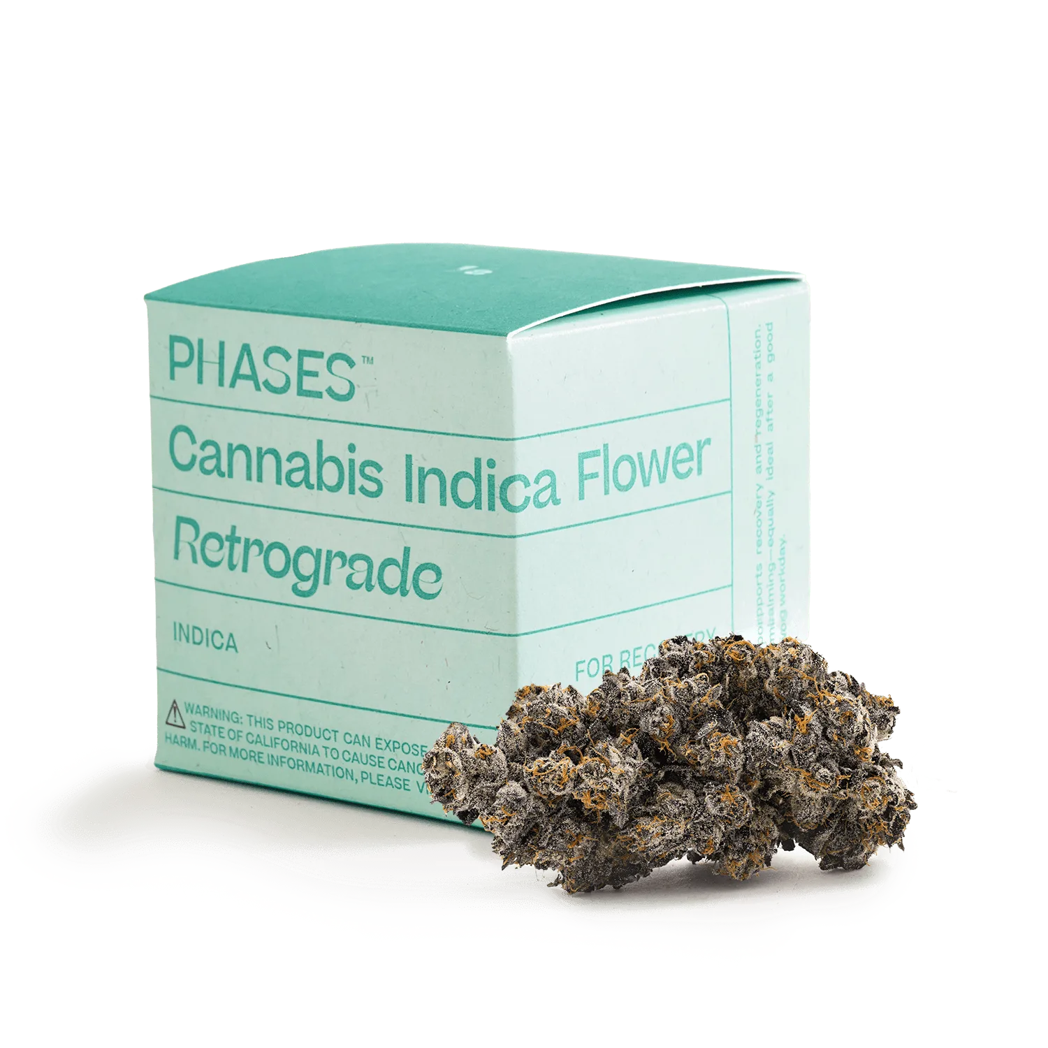 Phases | Retrograde | Cherry Runtz | Big Buds | 3.5g