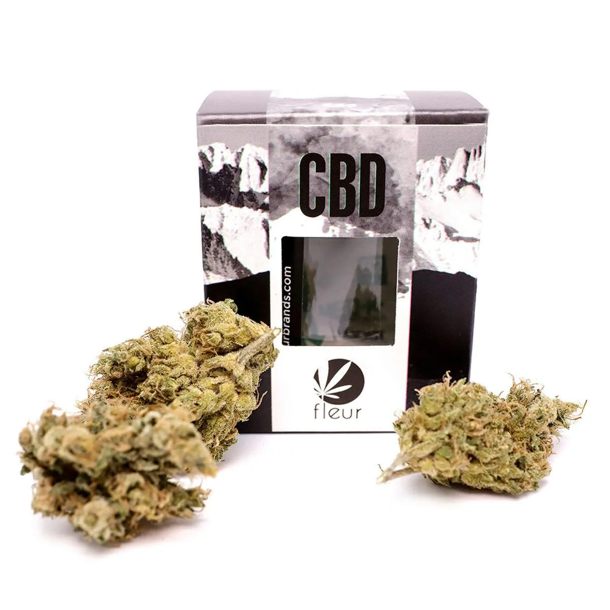 Fire Angel (CBD)