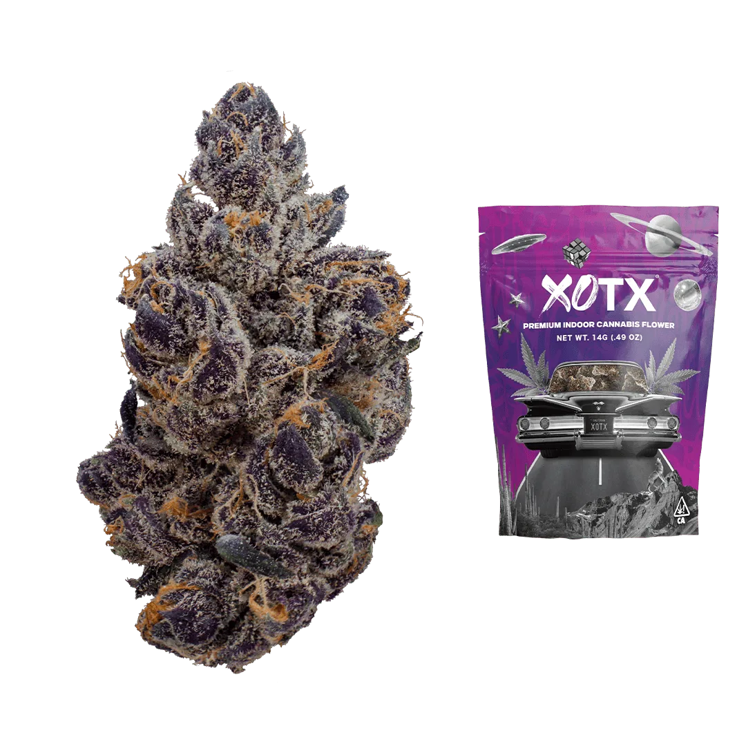 Gasnana 14G