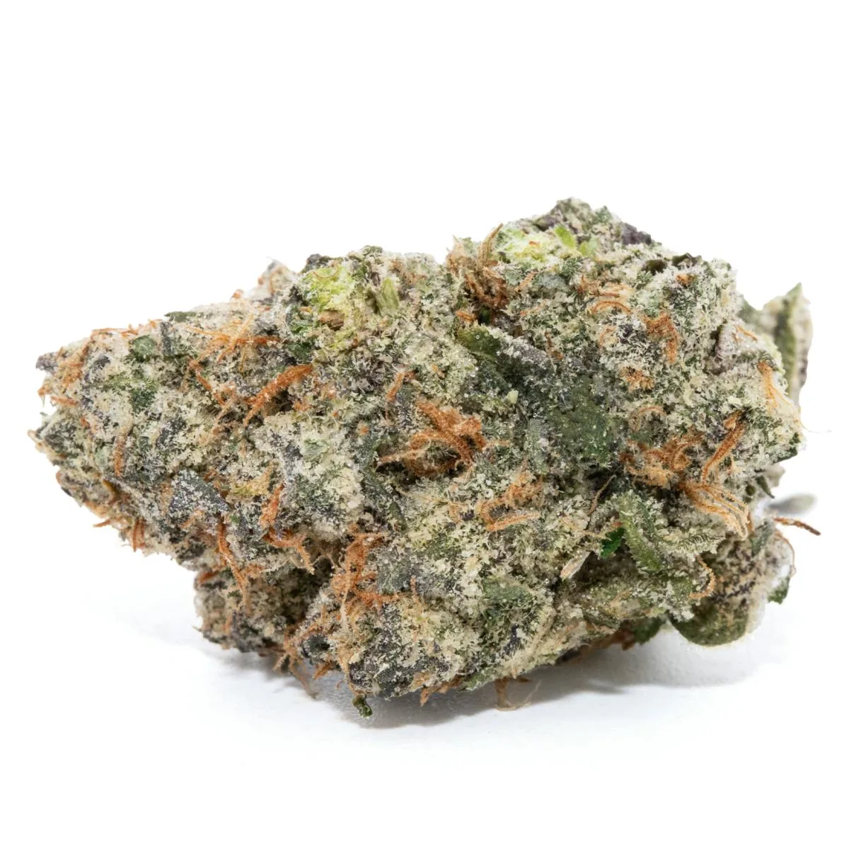 BLUE GUAVA [3.5G]