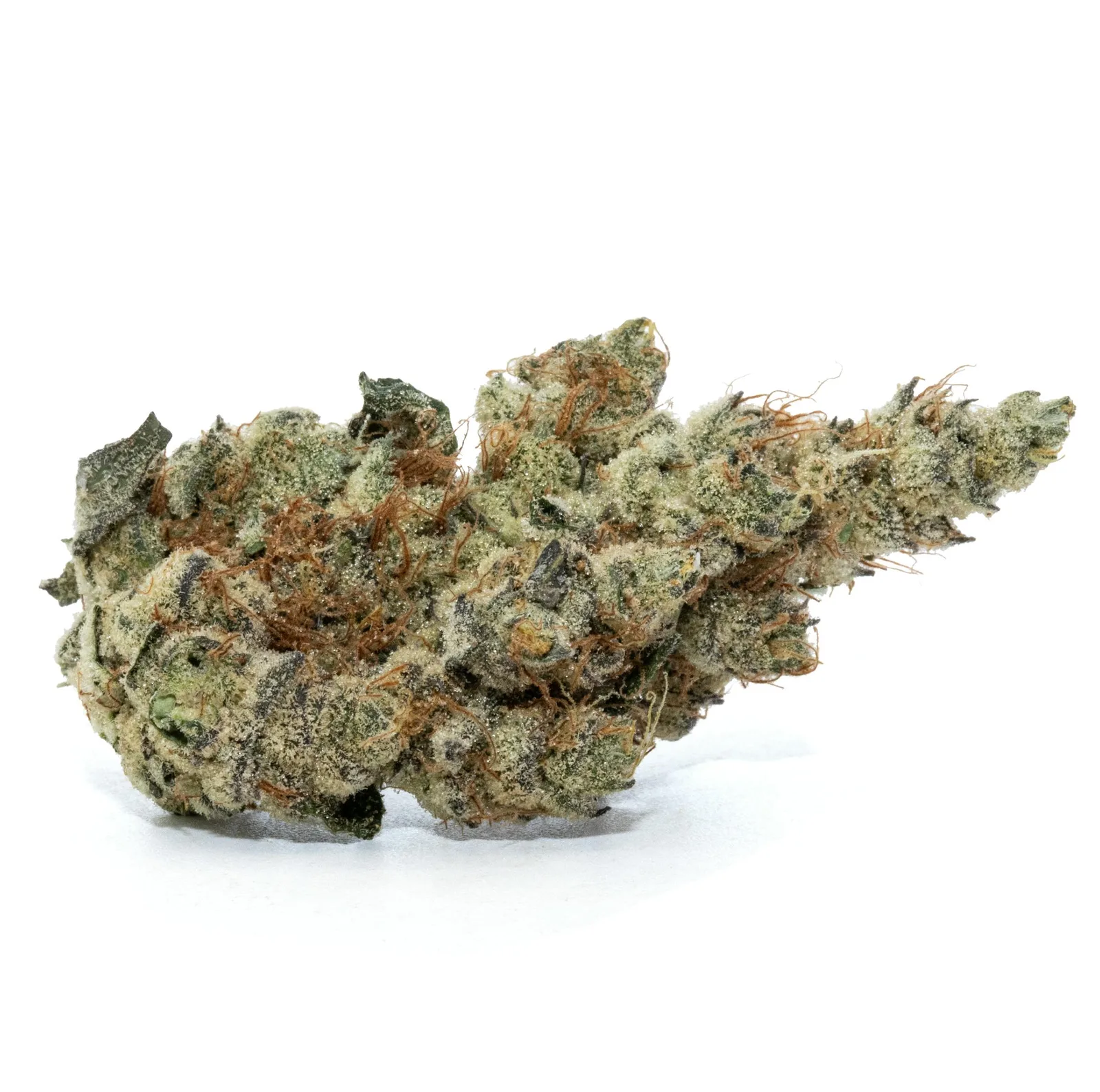 STARFRUITZ [3.5G]