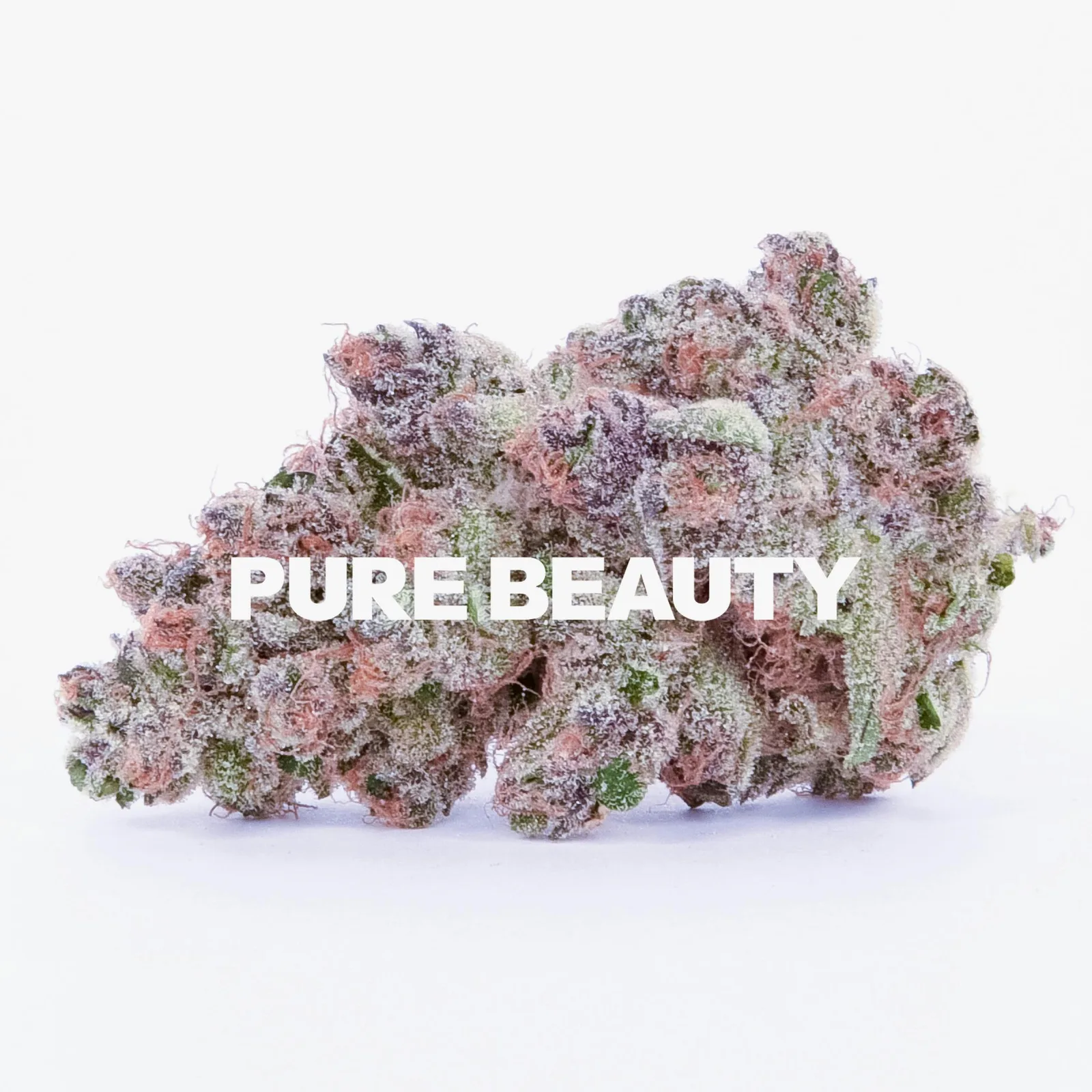 Cherry Tart | 3.5g Indoor