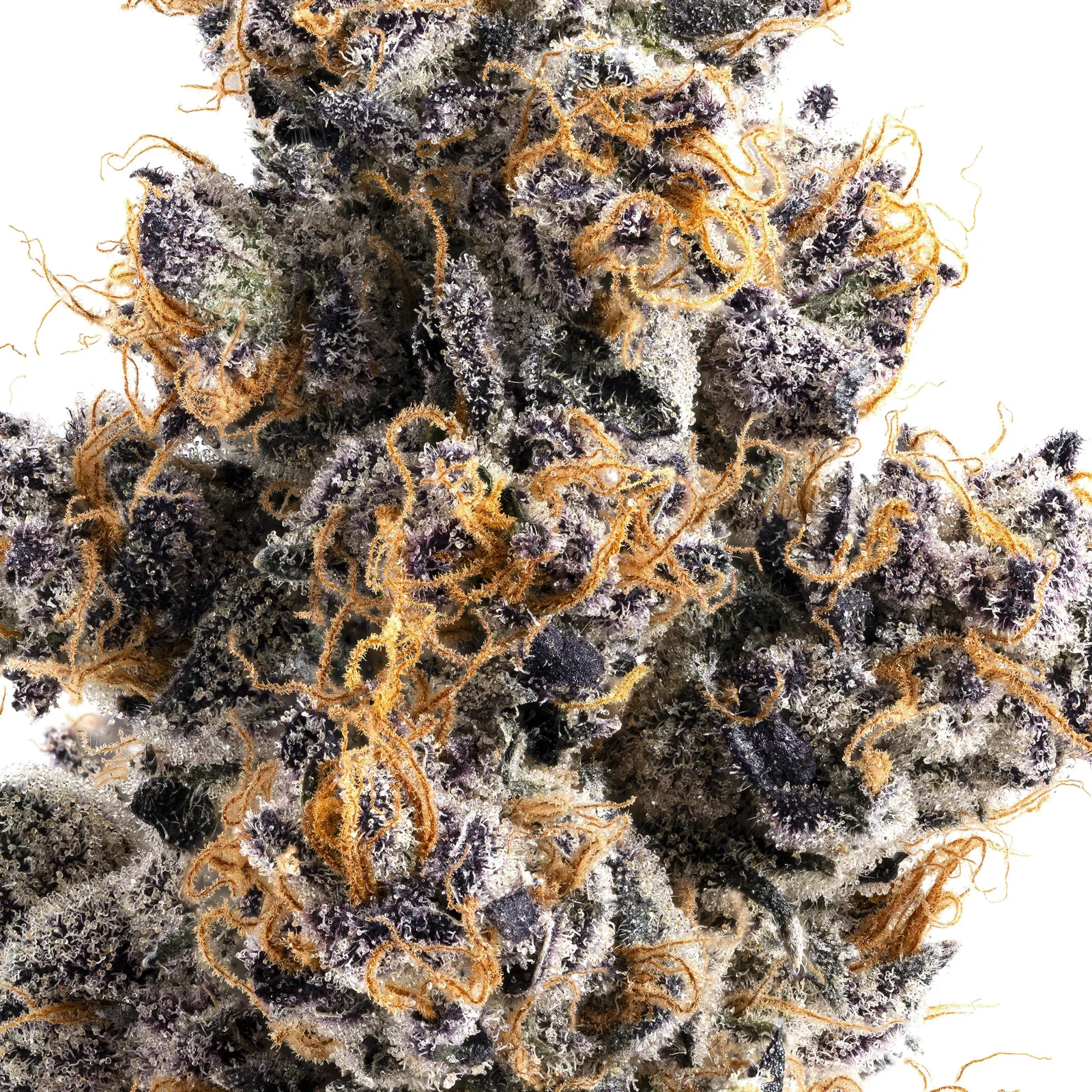 Lumpy's Flowers | Jane Dough | 14g Mylar Bag