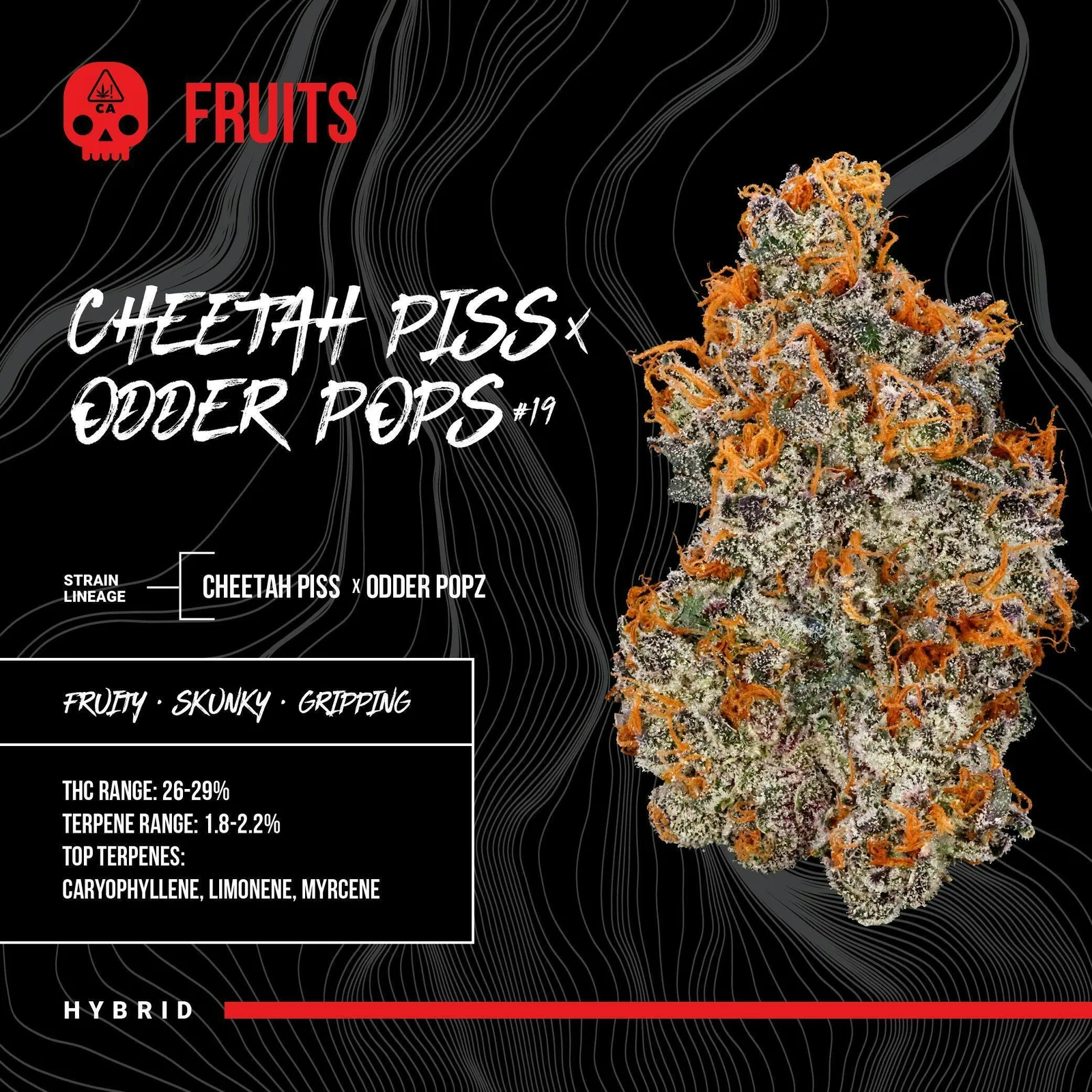 BOSKY | Cheetah Piss & Odder Popz #19 | Big Buds | 3.5g