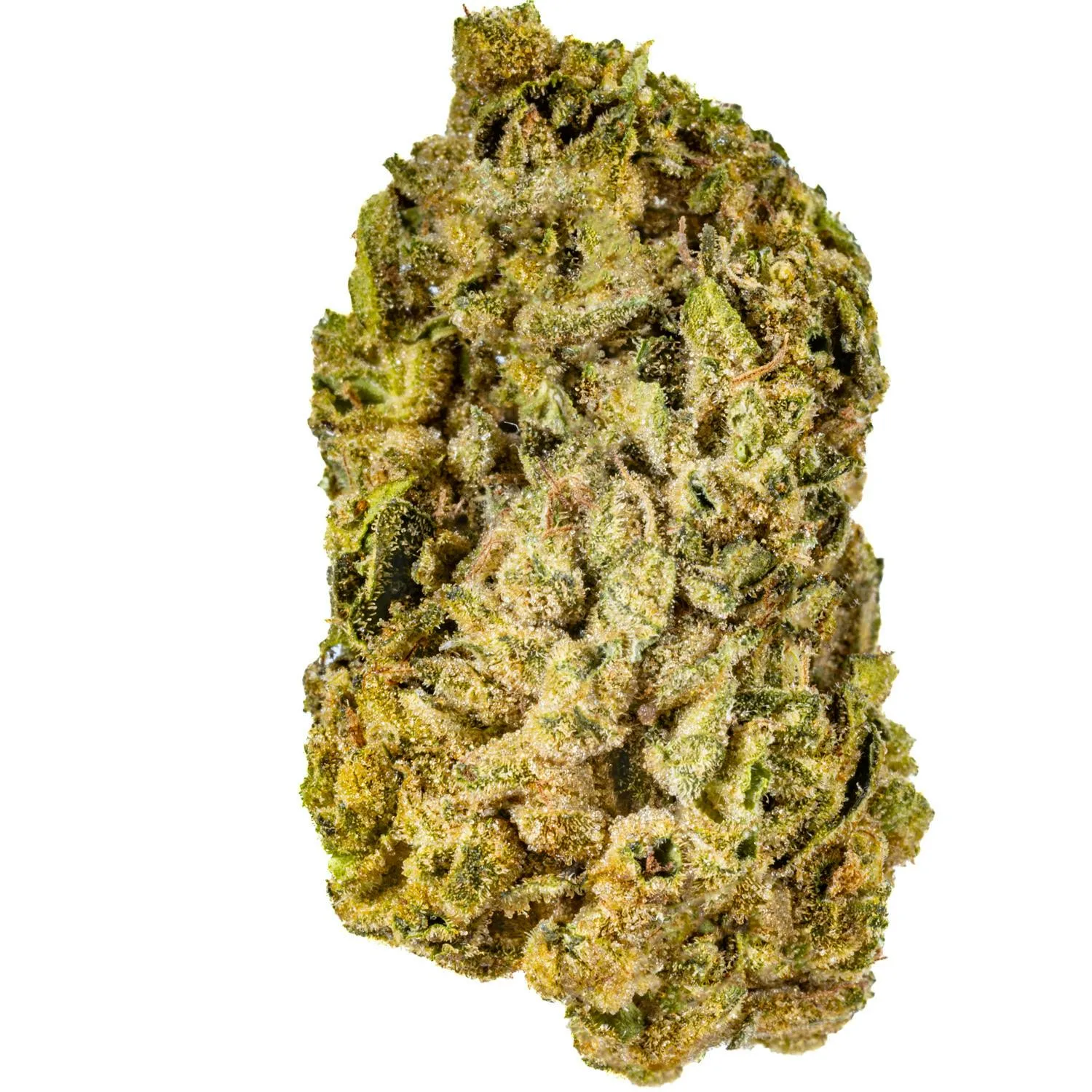 Cherry Bomb - 3.5G Premium Flower