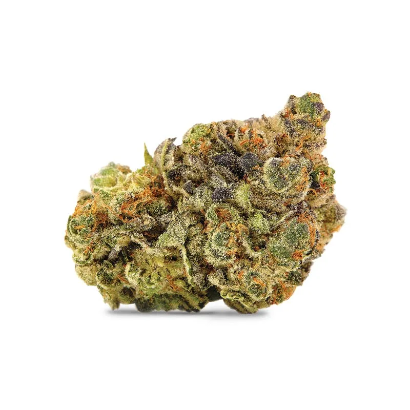 Summa: Essentials - Biscotti Sundae (14G)