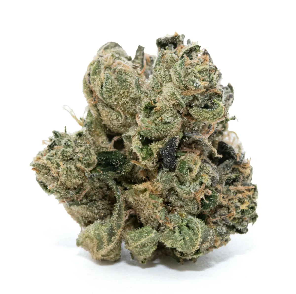 VELCROZ [3.5G]