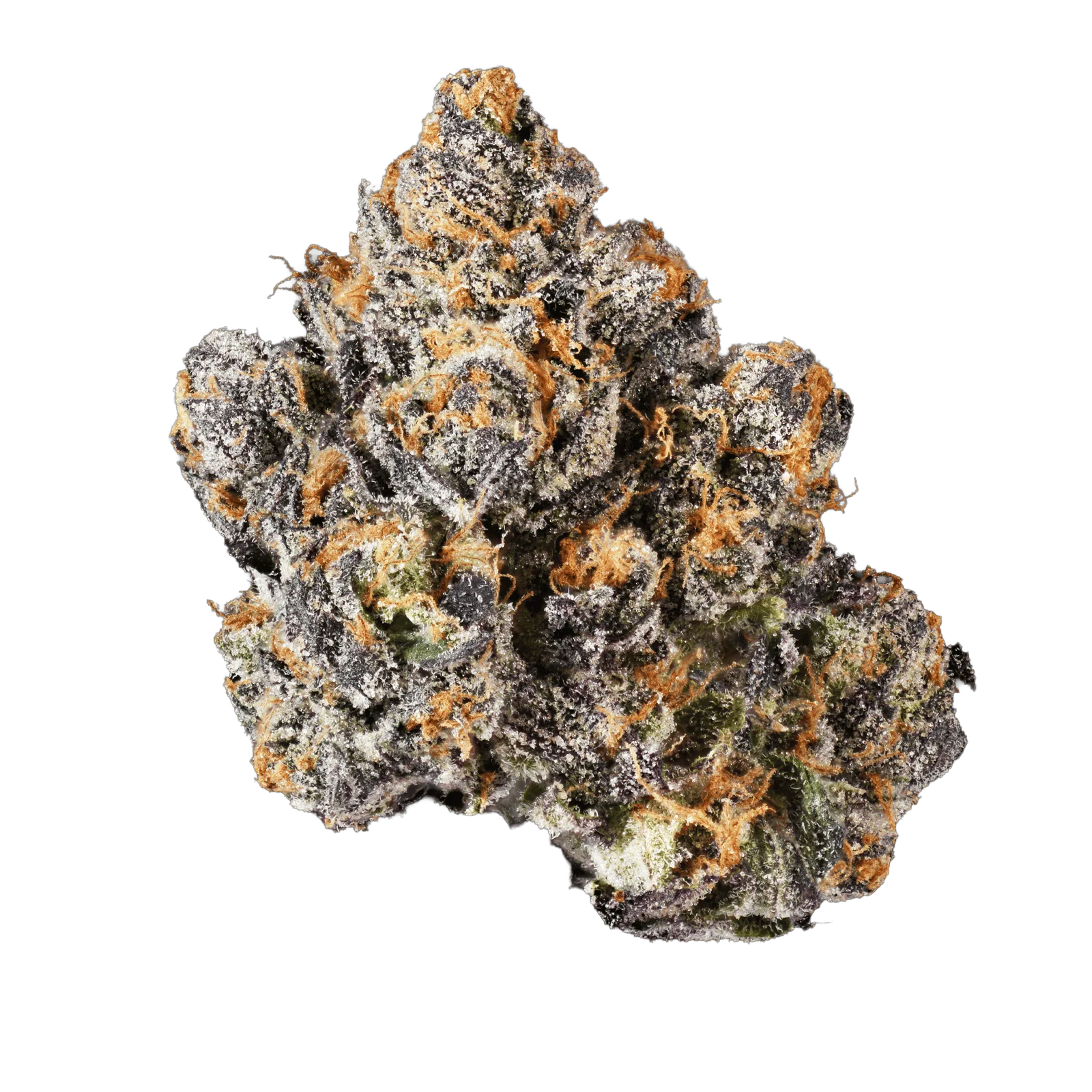 Midnight Bubba | Indoor Flower - 3.5g
