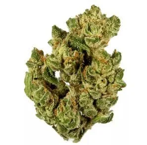 AMA | Tahoe OG
